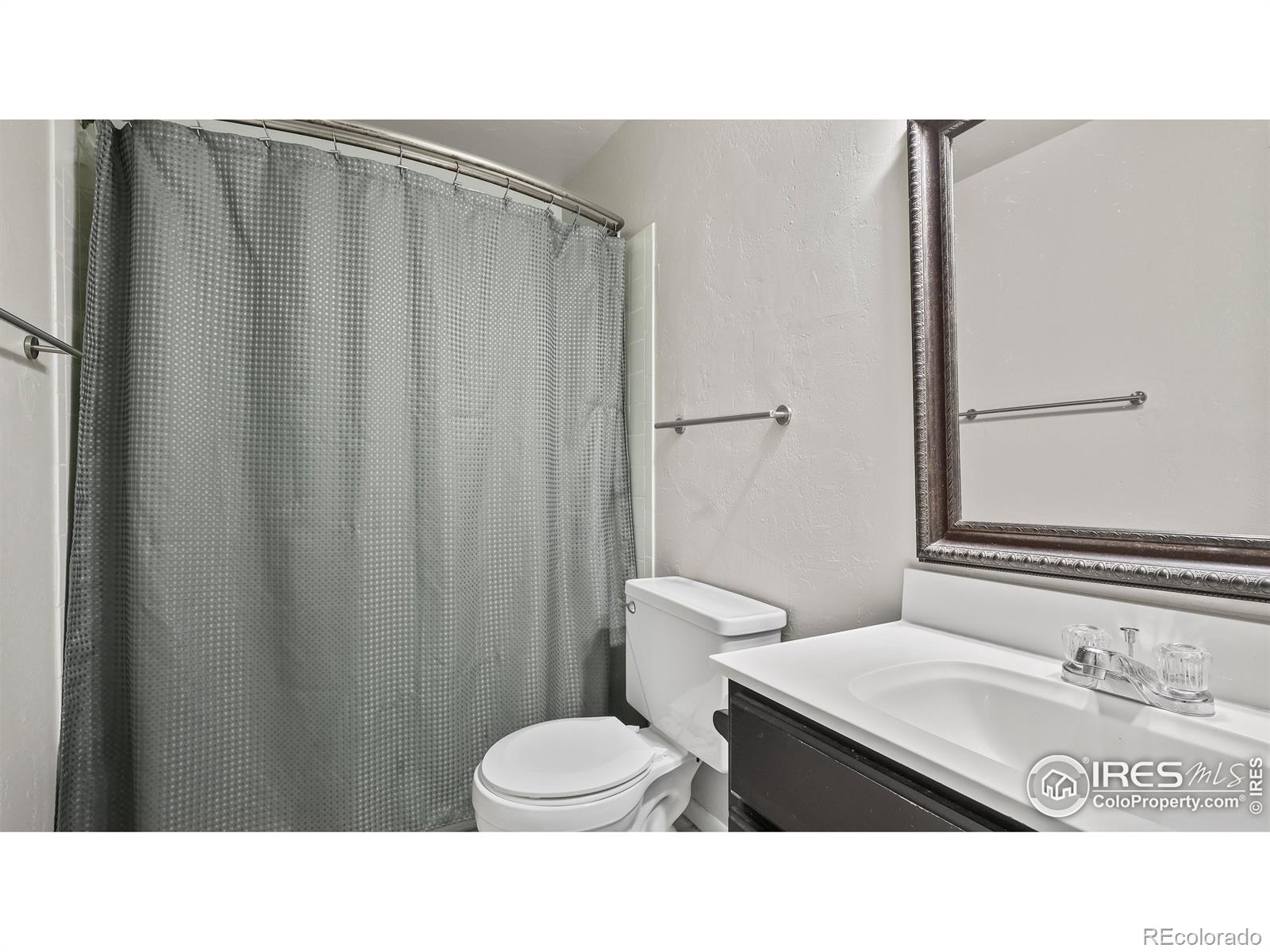 MLS Image #12 for 215  chestnut street,windsor, Colorado