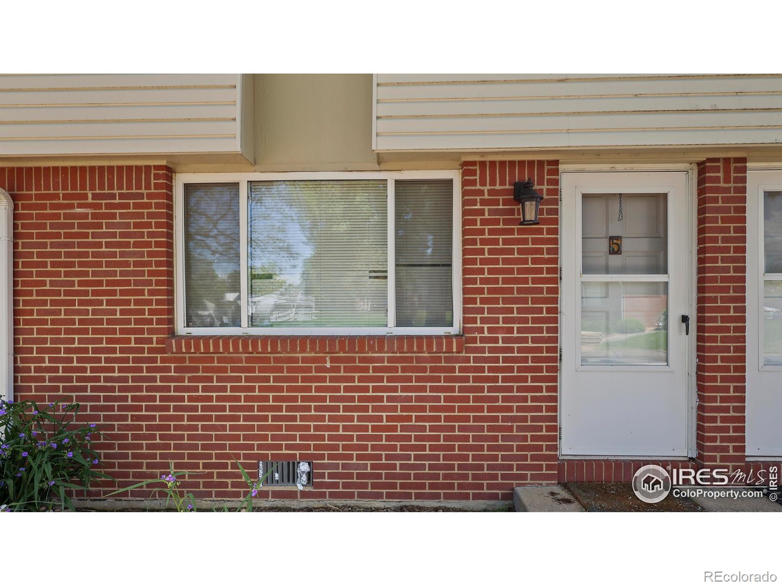MLS Image #2 for 215  chestnut street,windsor, Colorado