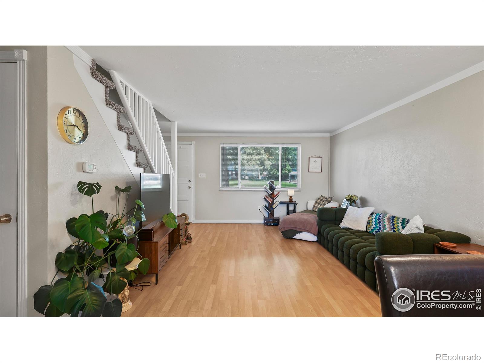 MLS Image #3 for 215  chestnut street,windsor, Colorado