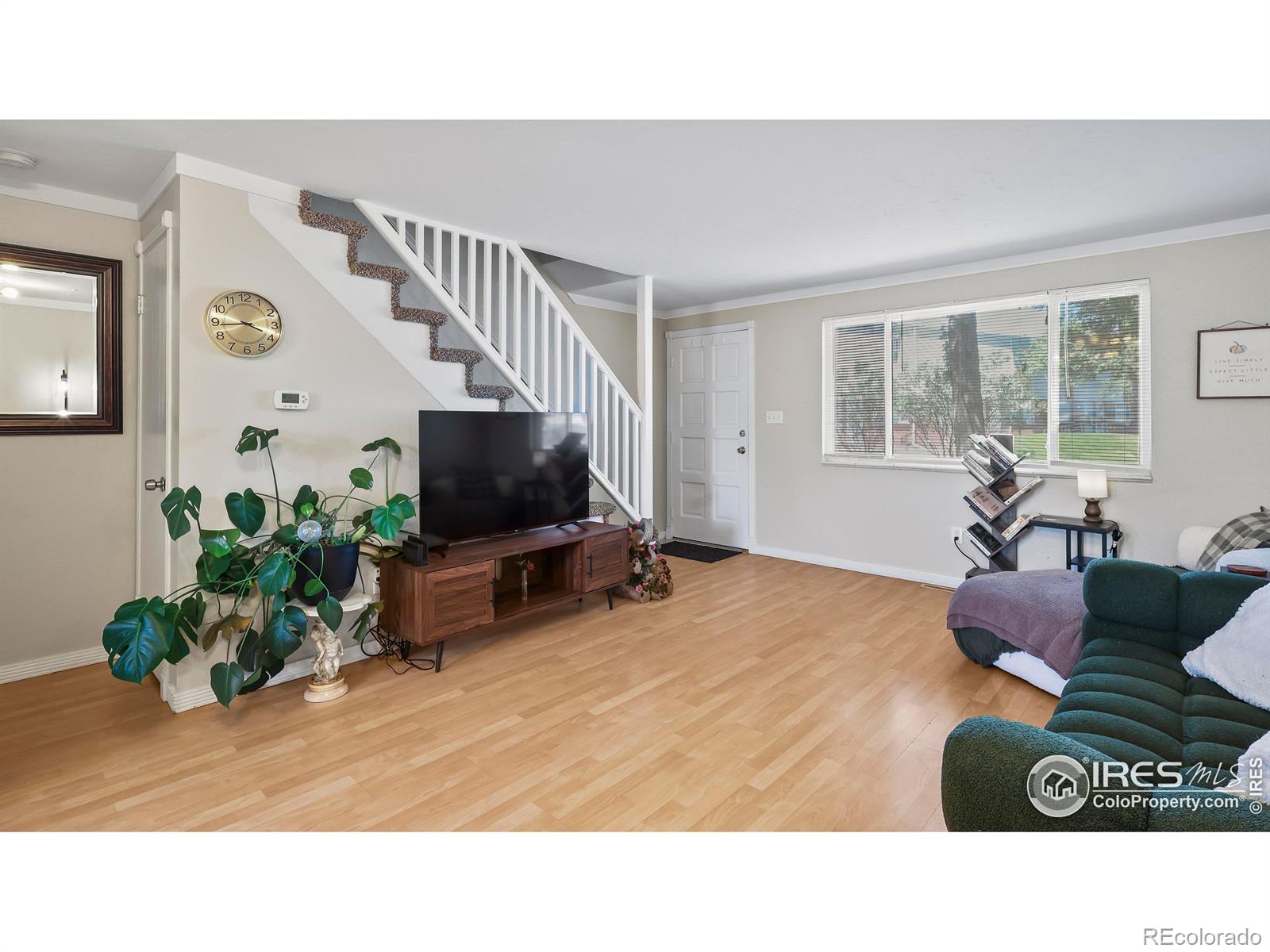 MLS Image #4 for 215  chestnut street,windsor, Colorado