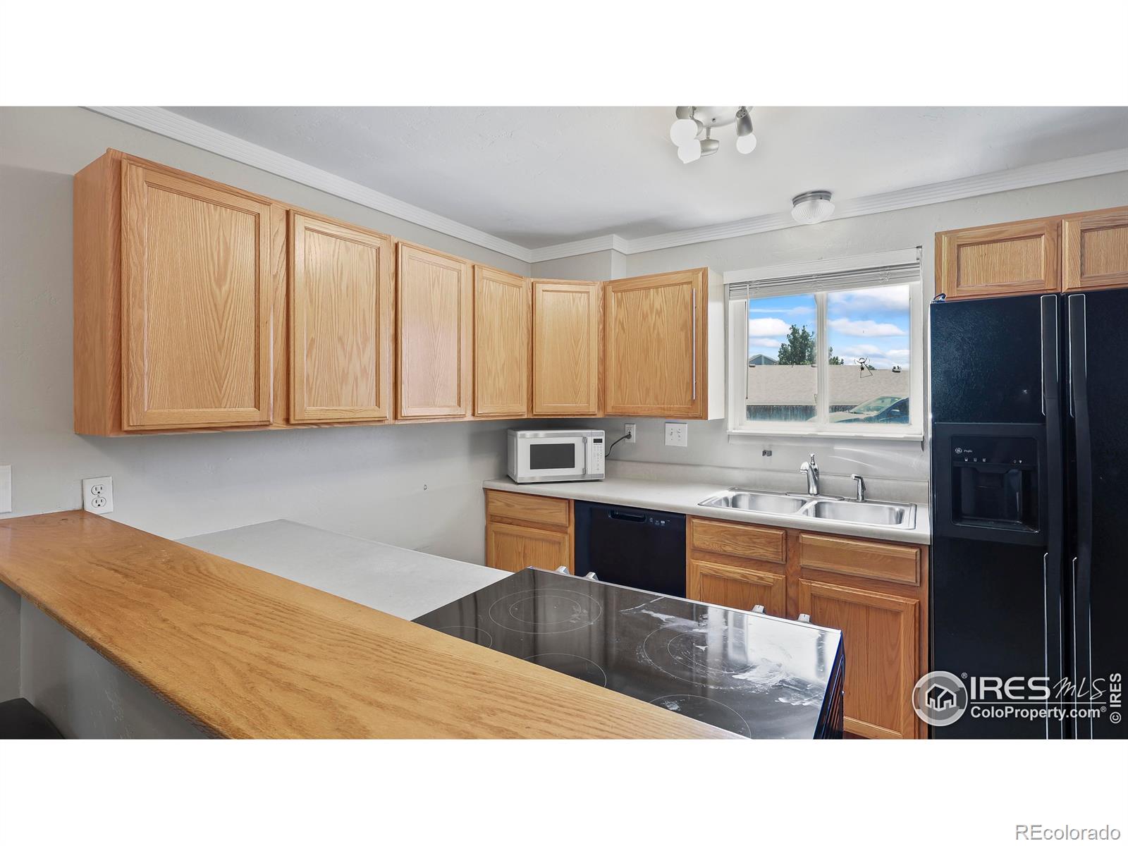MLS Image #5 for 215  chestnut street,windsor, Colorado