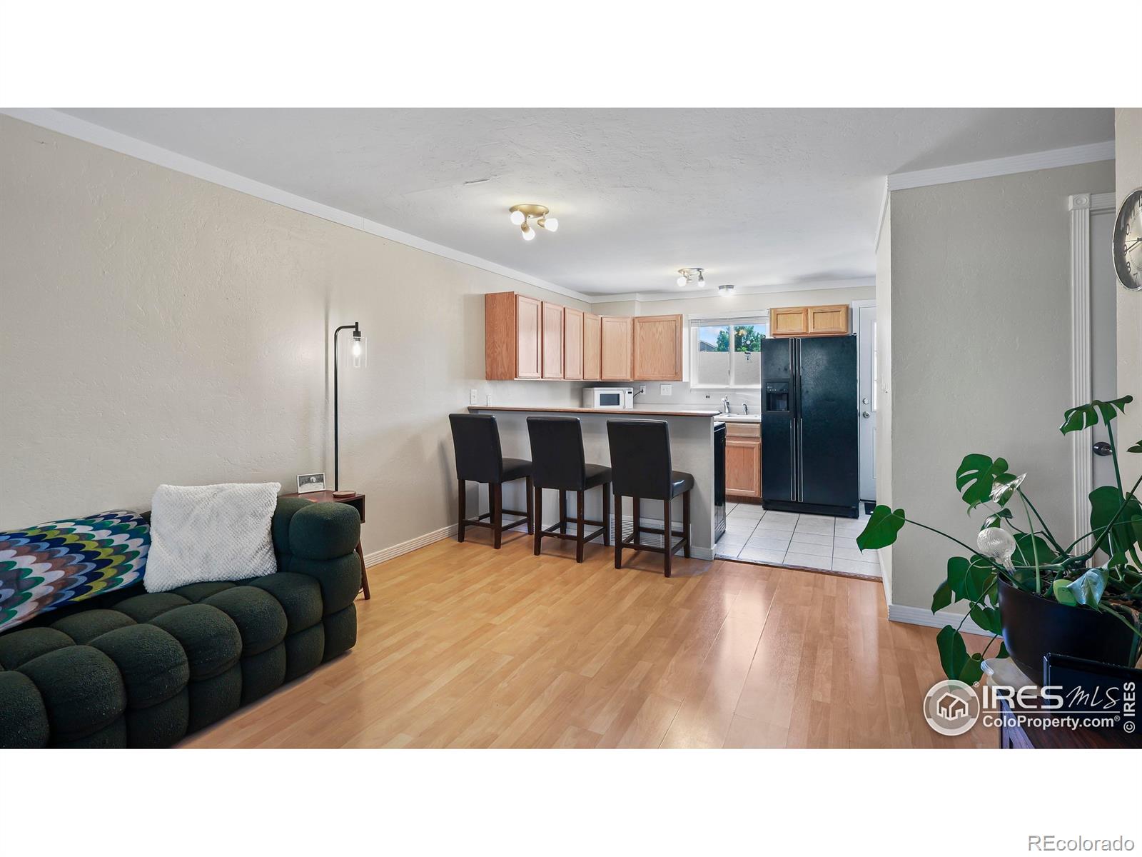 MLS Image #7 for 215  chestnut street,windsor, Colorado