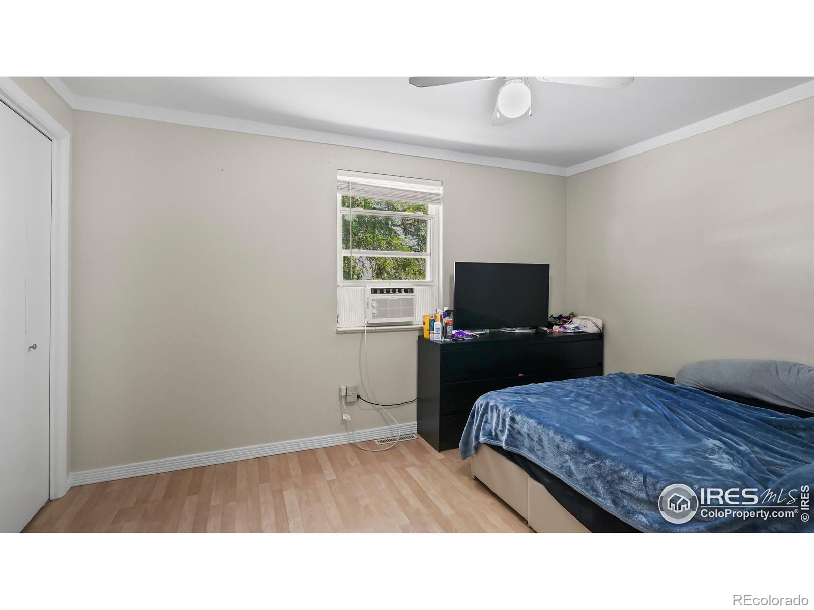 MLS Image #9 for 215  chestnut street,windsor, Colorado