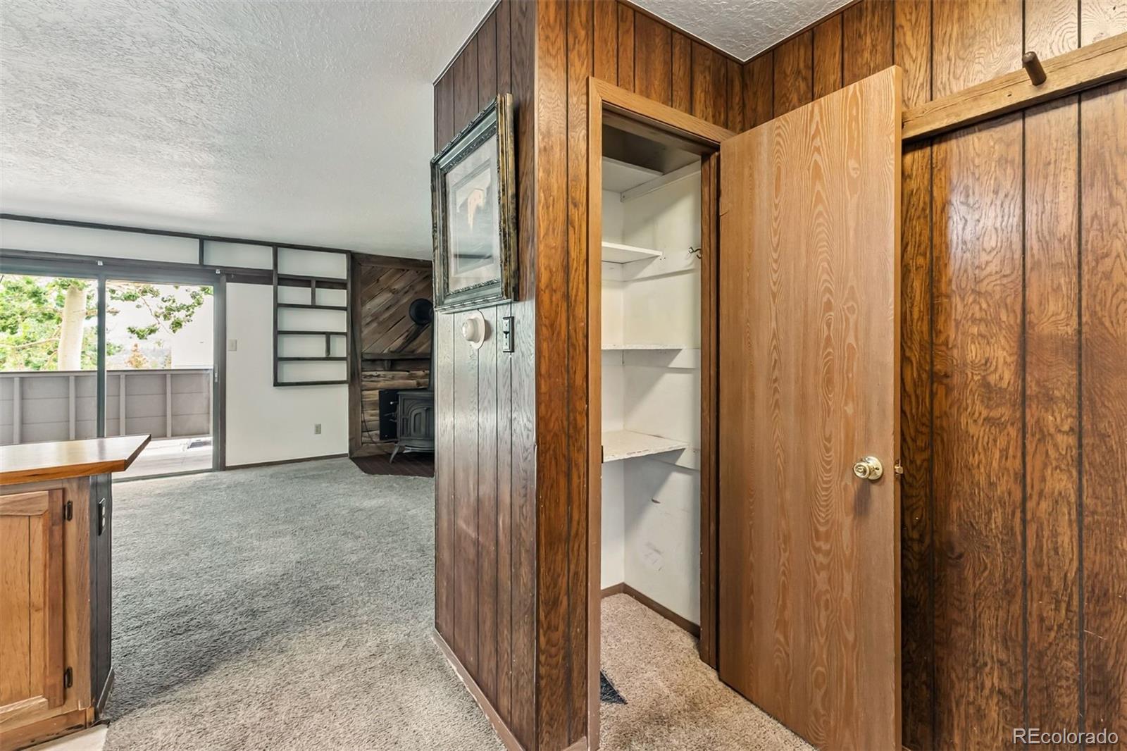 MLS Image #10 for 675  straight creek drive,dillon, Colorado