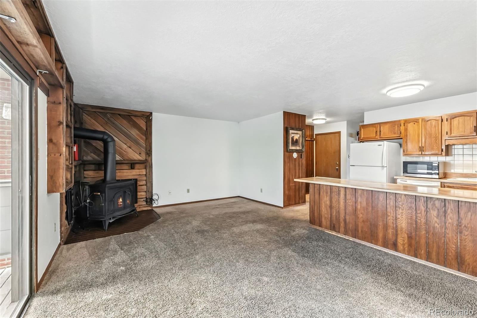 MLS Image #12 for 675  straight creek drive,dillon, Colorado