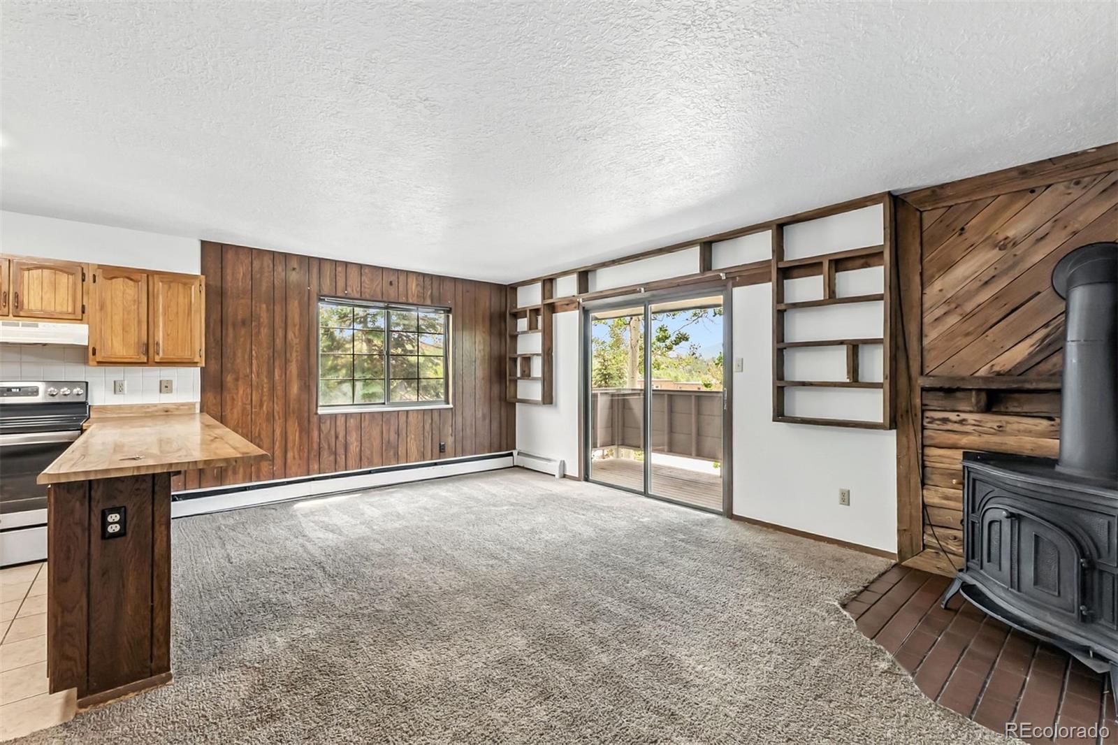 MLS Image #2 for 675  straight creek drive,dillon, Colorado