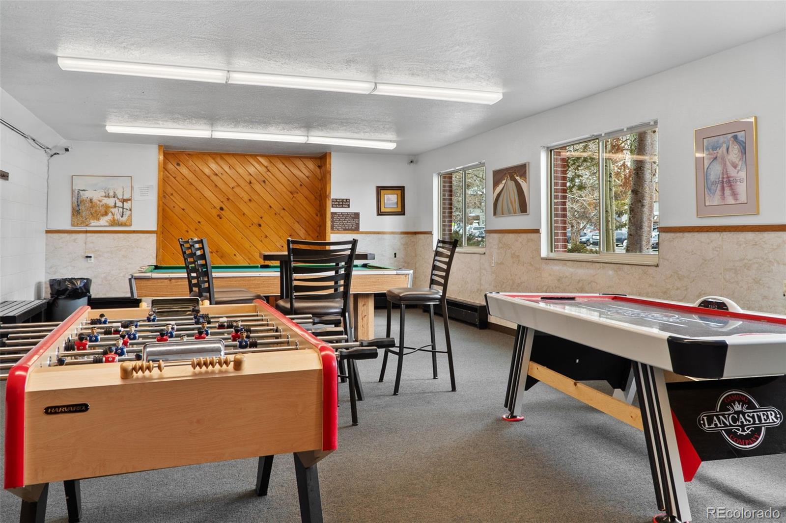 MLS Image #25 for 675  straight creek drive,dillon, Colorado