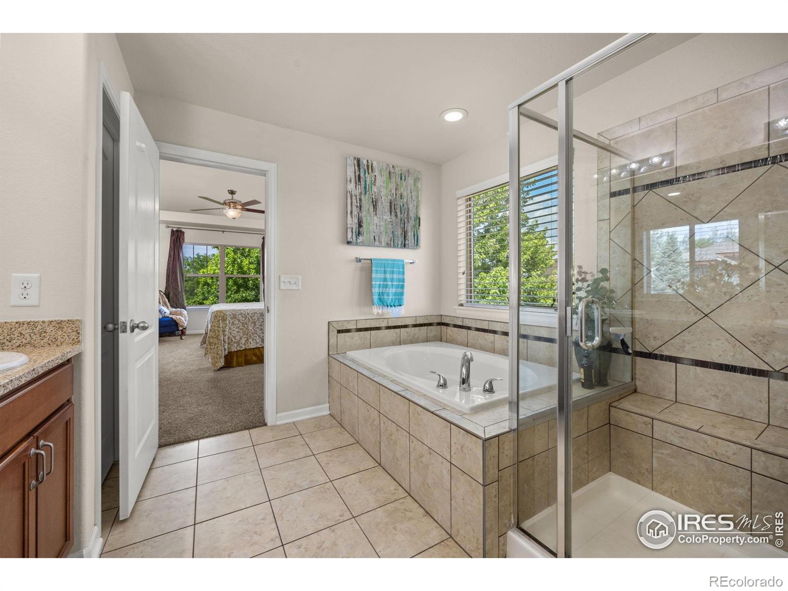 MLS Image #12 for 4803  withers drive,fort collins, Colorado