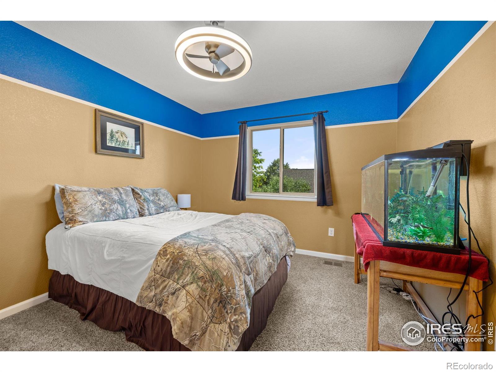 MLS Image #16 for 4803  withers drive,fort collins, Colorado