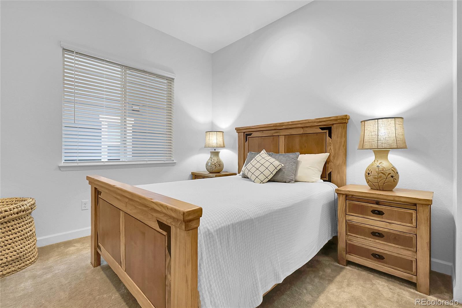 MLS Image #18 for 8894  river peak circle,littleton, Colorado