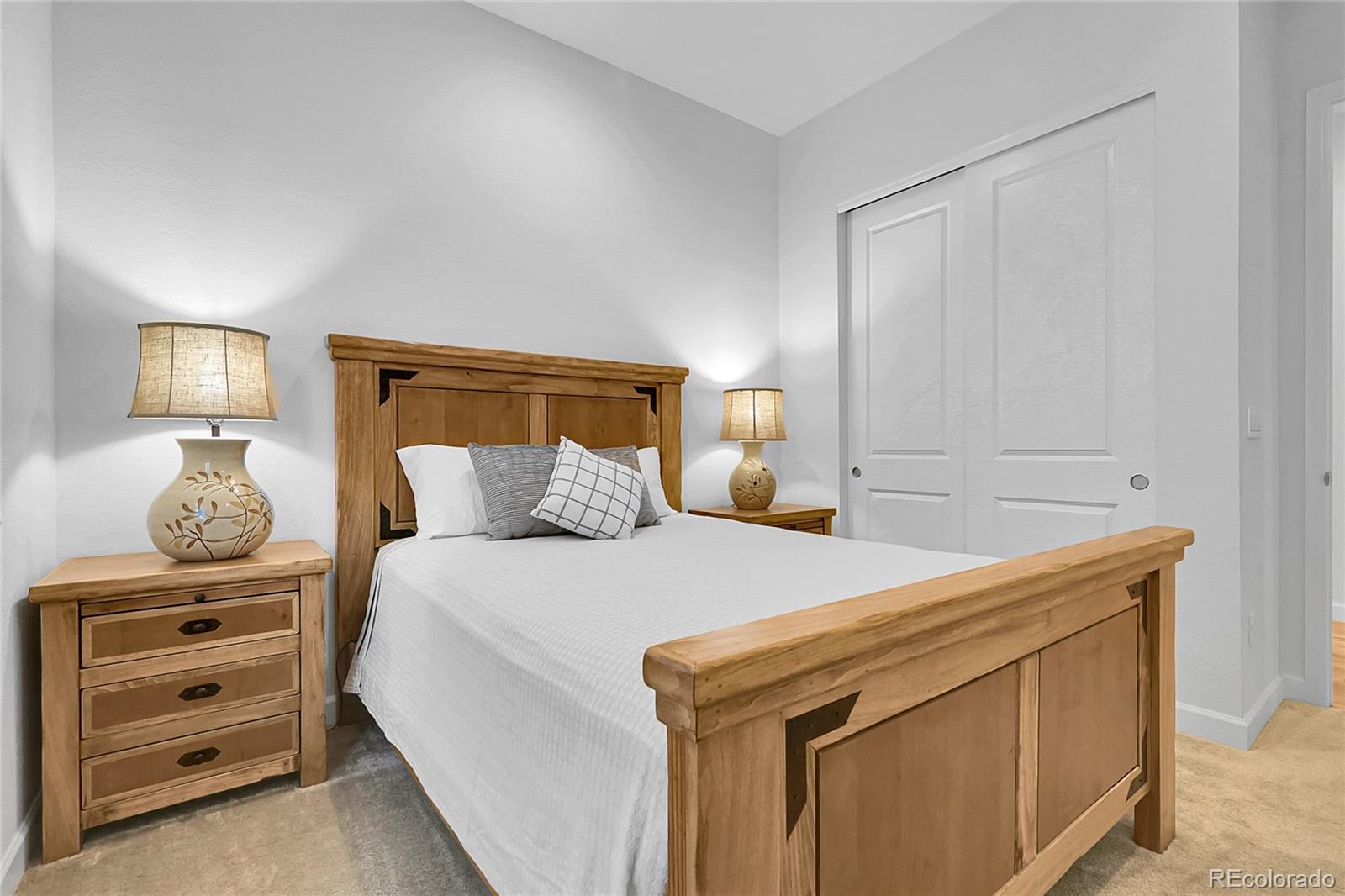 MLS Image #19 for 8894  river peak circle,littleton, Colorado