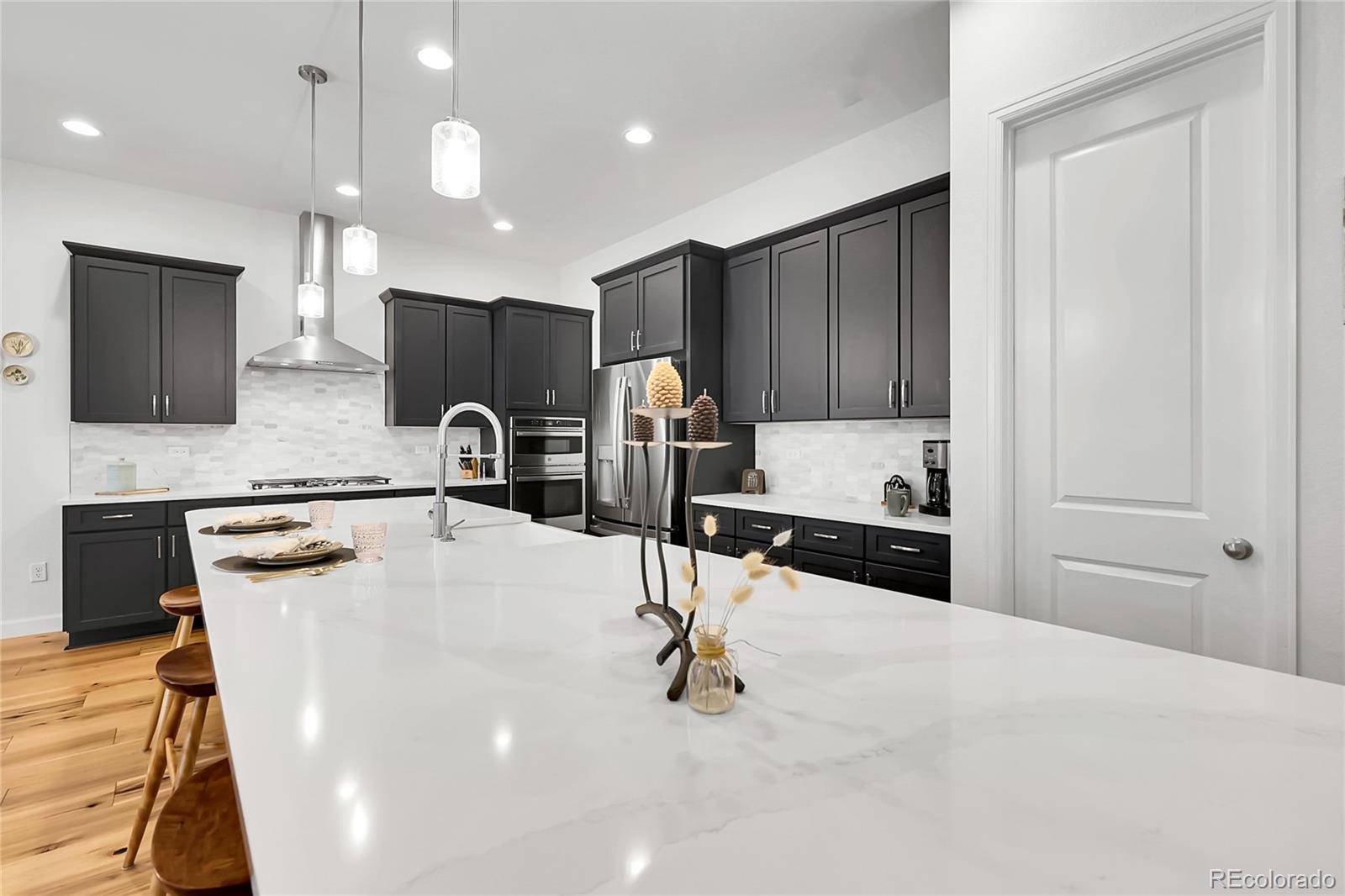 MLS Image #4 for 8894  river peak circle,littleton, Colorado