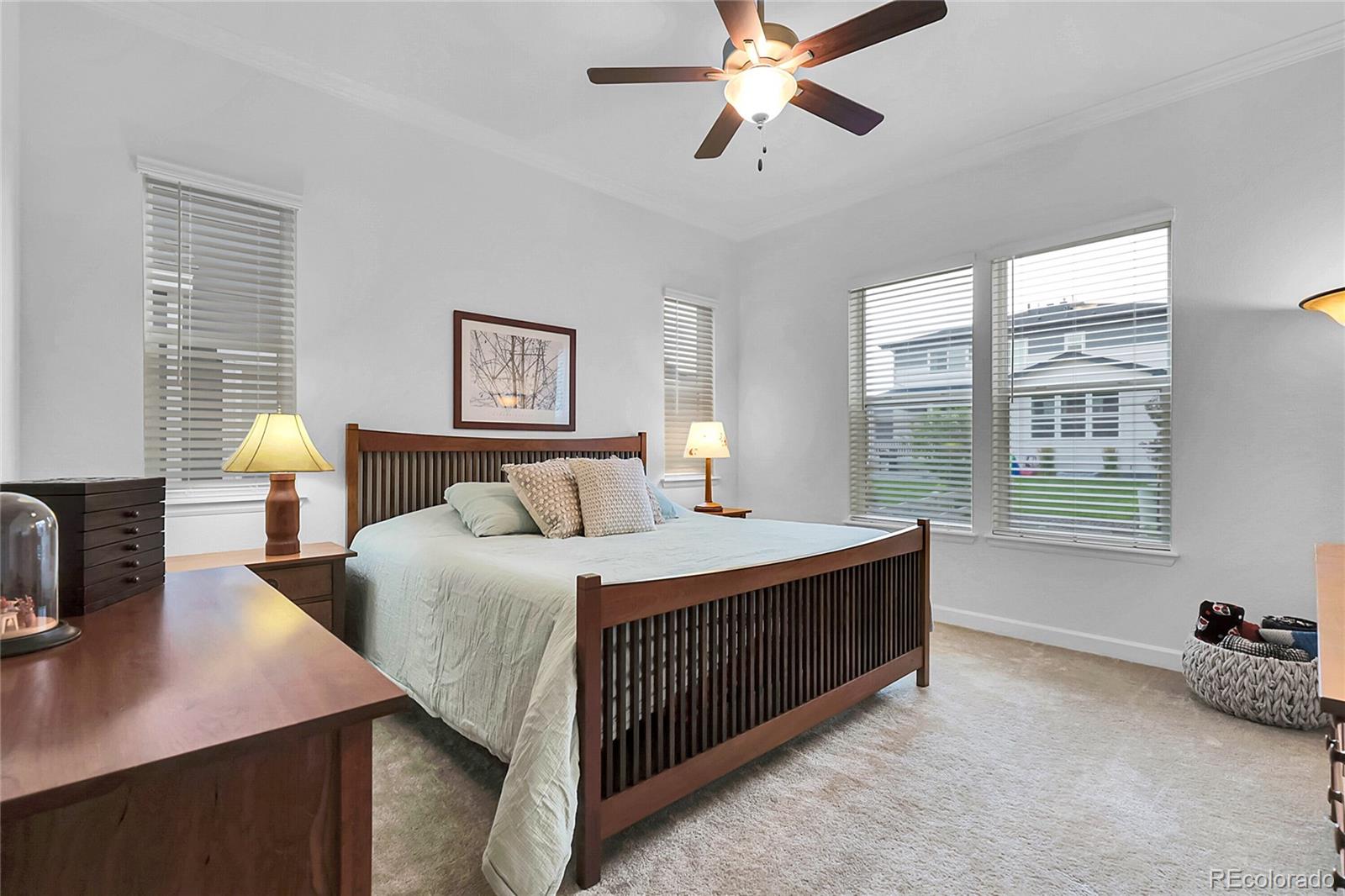 MLS Image #9 for 8894  river peak circle,littleton, Colorado