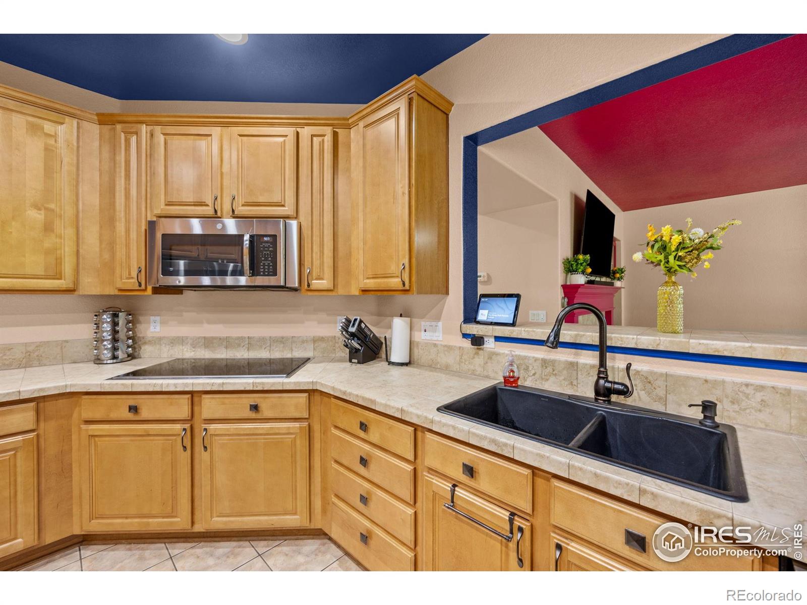 MLS Image #10 for 7067 s malaya court,aurora, Colorado