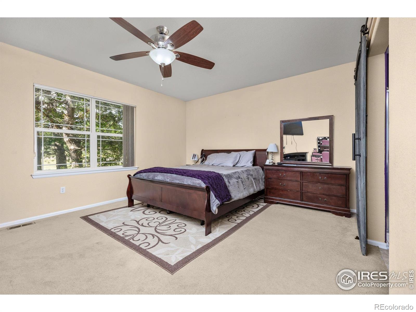 MLS Image #13 for 7067 s malaya court,aurora, Colorado