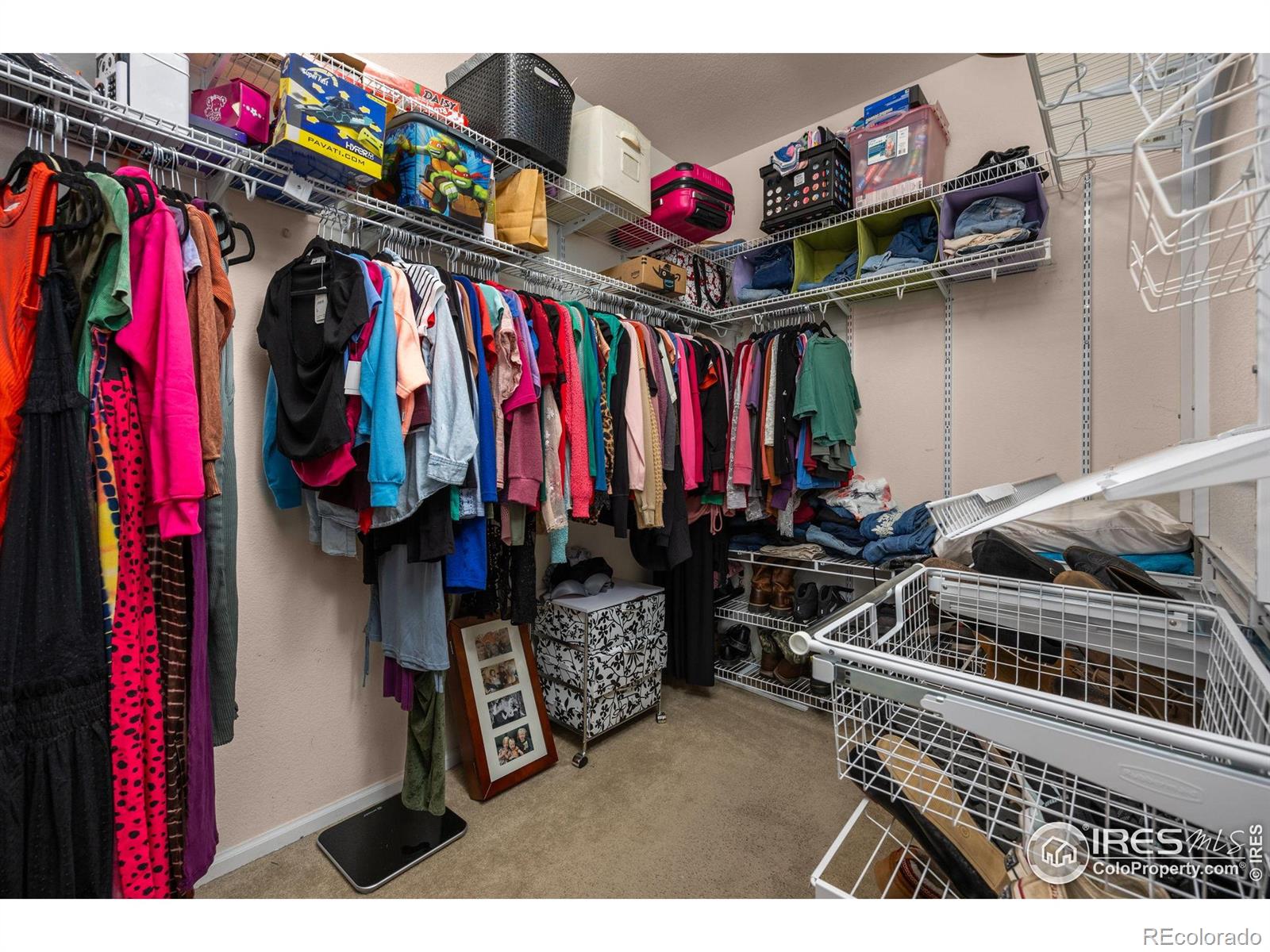 MLS Image #17 for 7067 s malaya court,aurora, Colorado