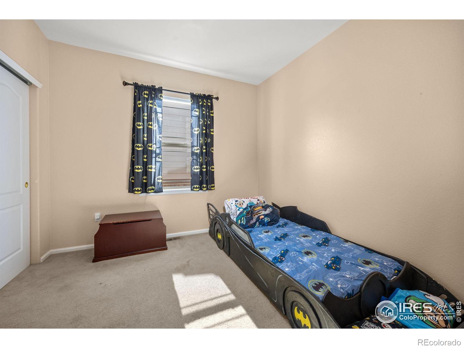 MLS Image #18 for 7067 s malaya court,aurora, Colorado
