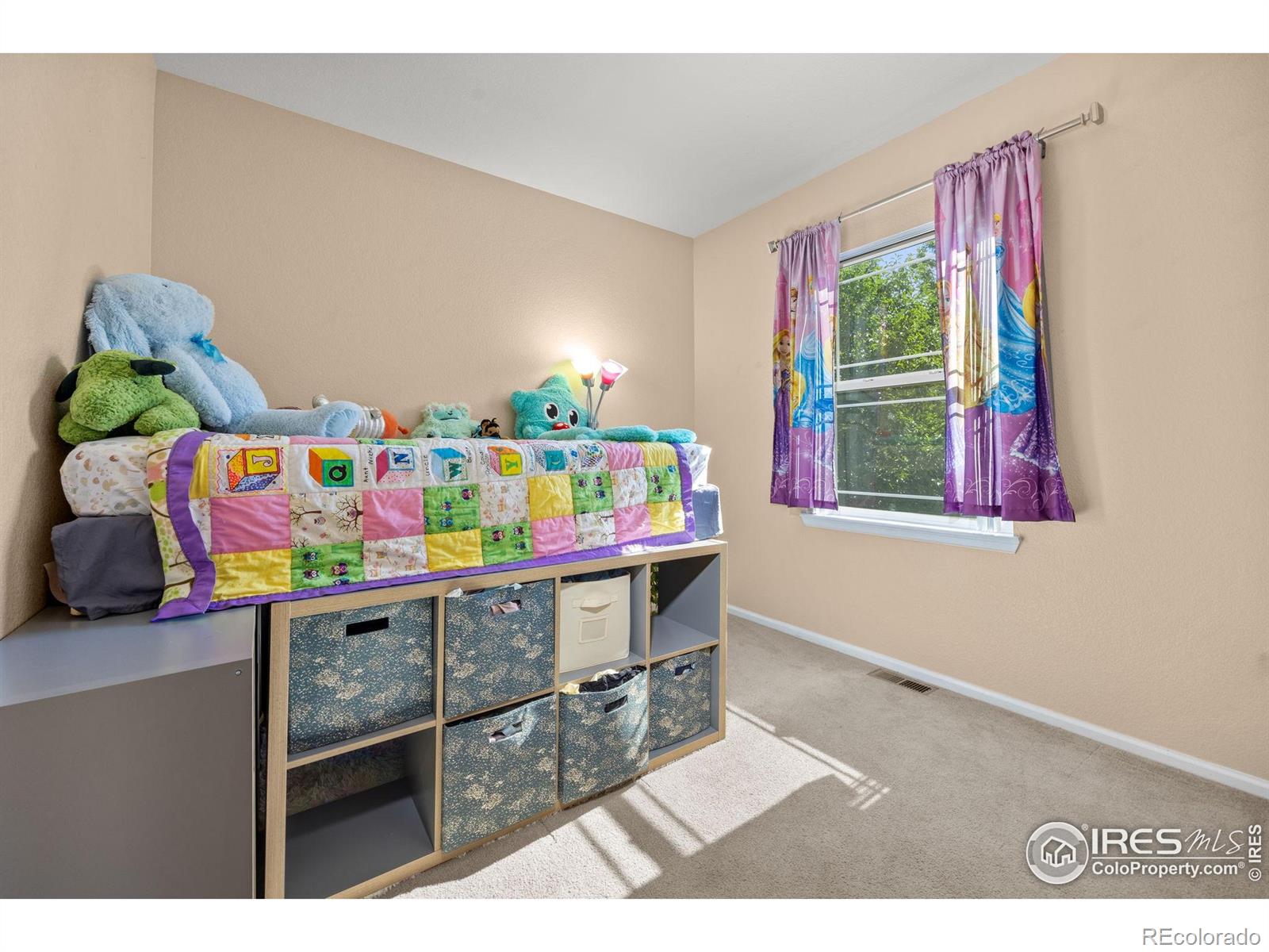 MLS Image #19 for 7067 s malaya court,aurora, Colorado