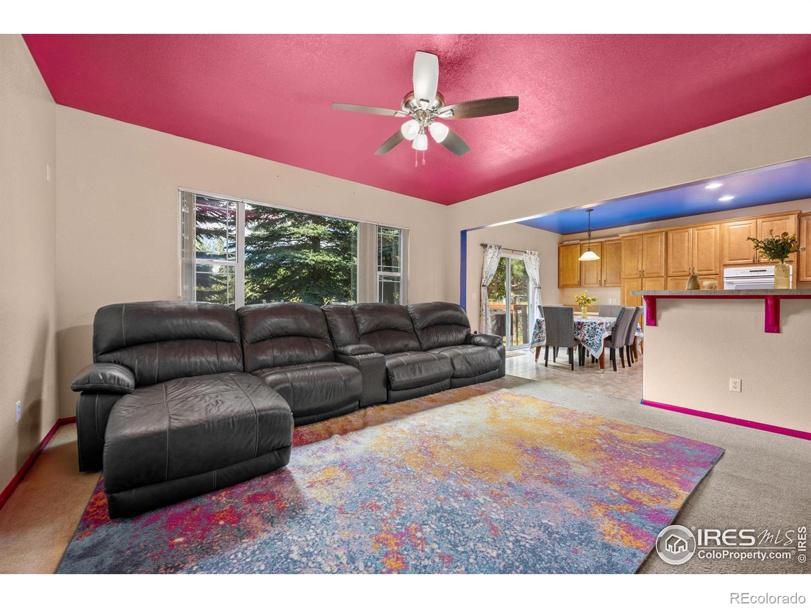 MLS Image #8 for 7067 s malaya court,aurora, Colorado