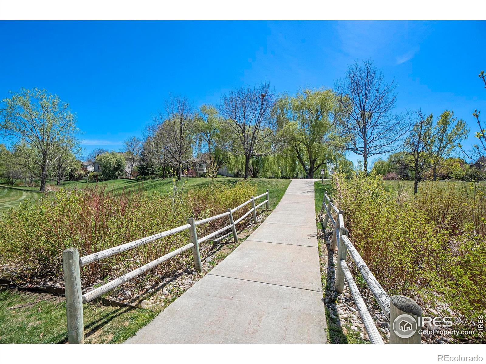 MLS Image #24 for 5225  white willow drive,fort collins, Colorado