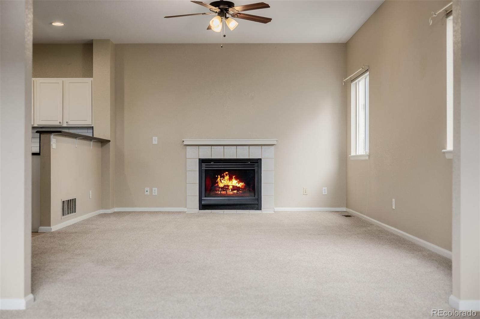 MLS Image #11 for 9417  burgundy circle,highlands ranch, Colorado