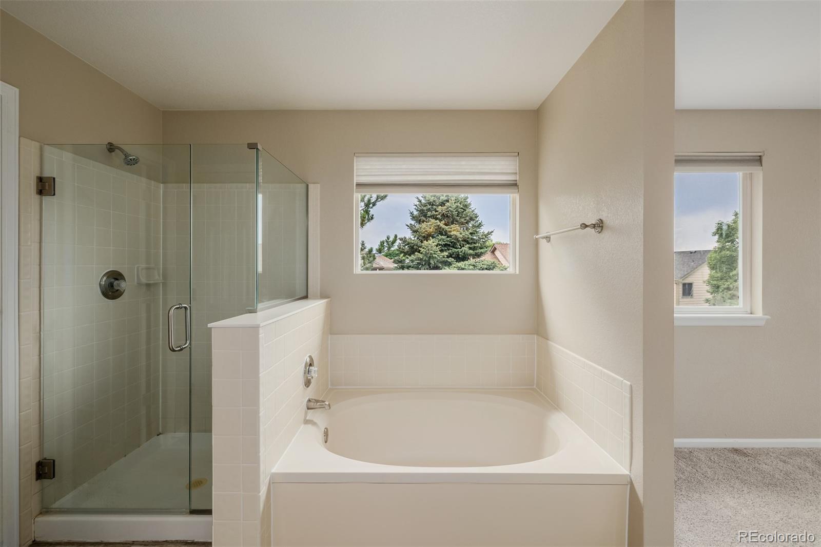MLS Image #37 for 9417  burgundy circle,highlands ranch, Colorado