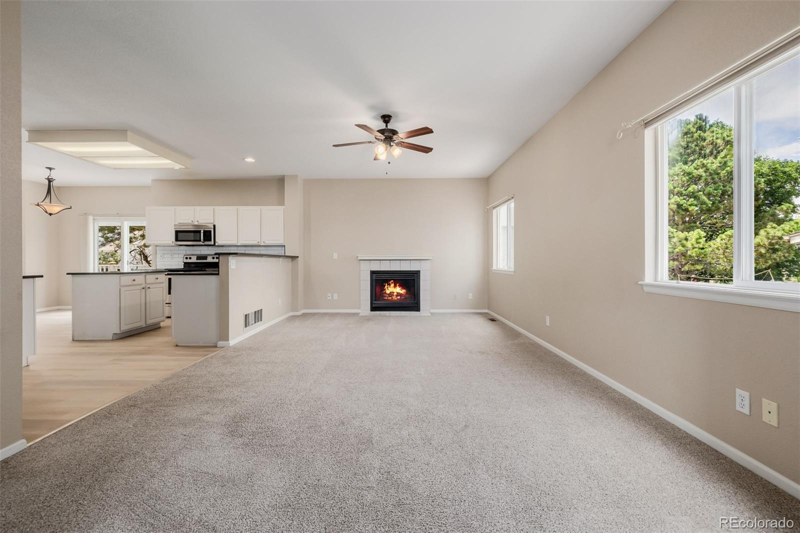 MLS Image #9 for 9417  burgundy circle,highlands ranch, Colorado