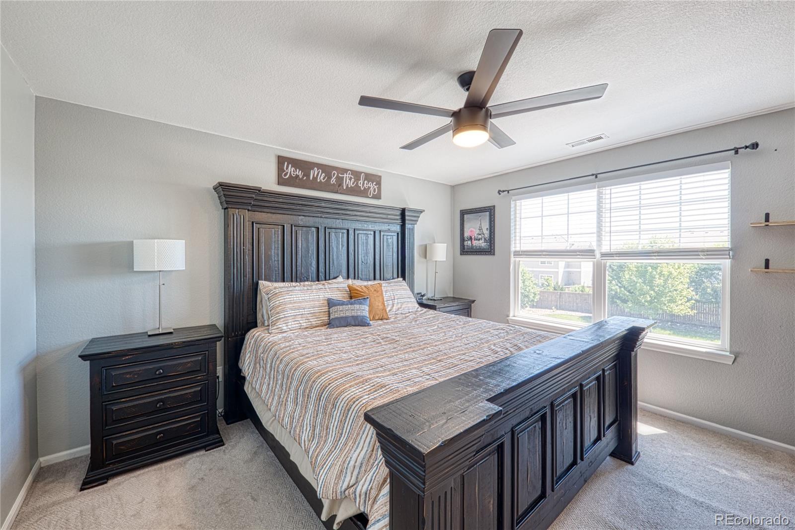 MLS Image #10 for 274  peabody street,castle rock, Colorado