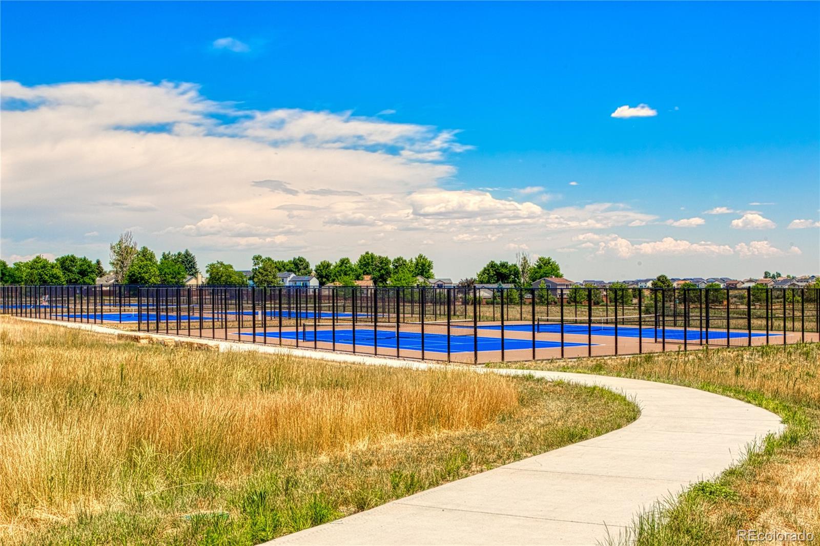 MLS Image #23 for 274  peabody street,castle rock, Colorado
