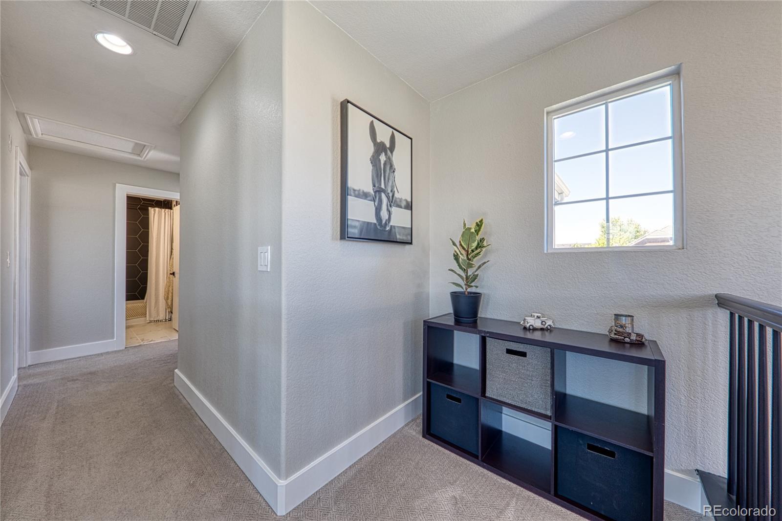MLS Image #9 for 274  peabody street,castle rock, Colorado