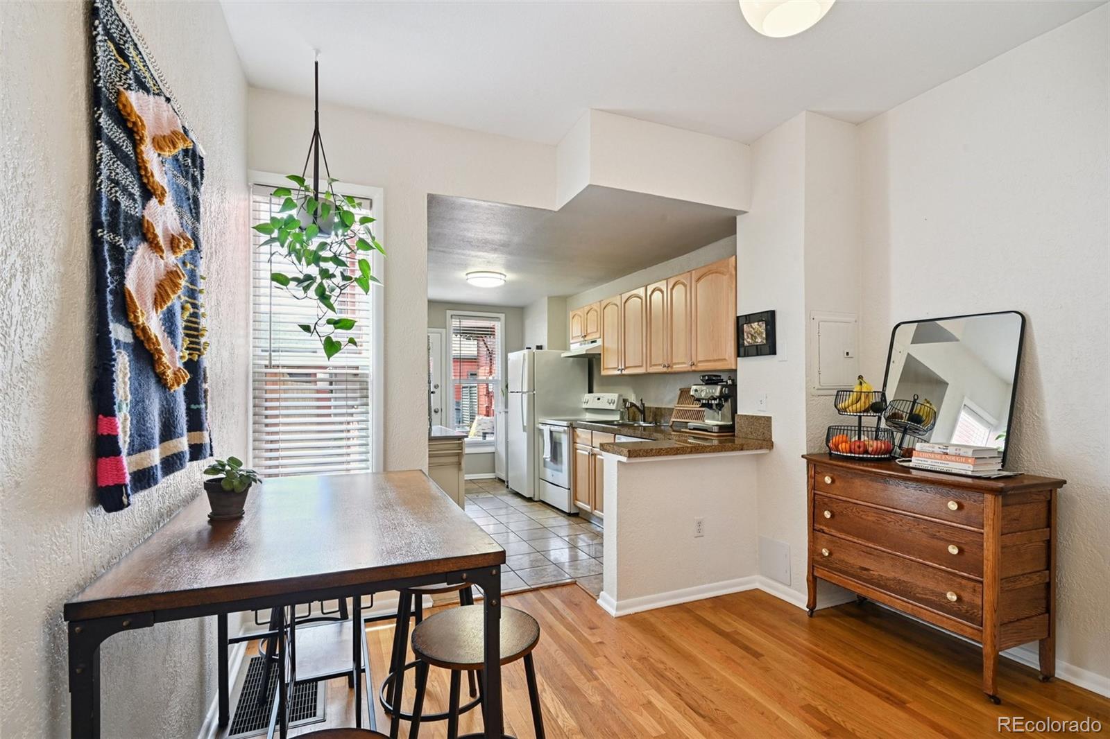 MLS Image #6 for 225  inca street,denver, Colorado