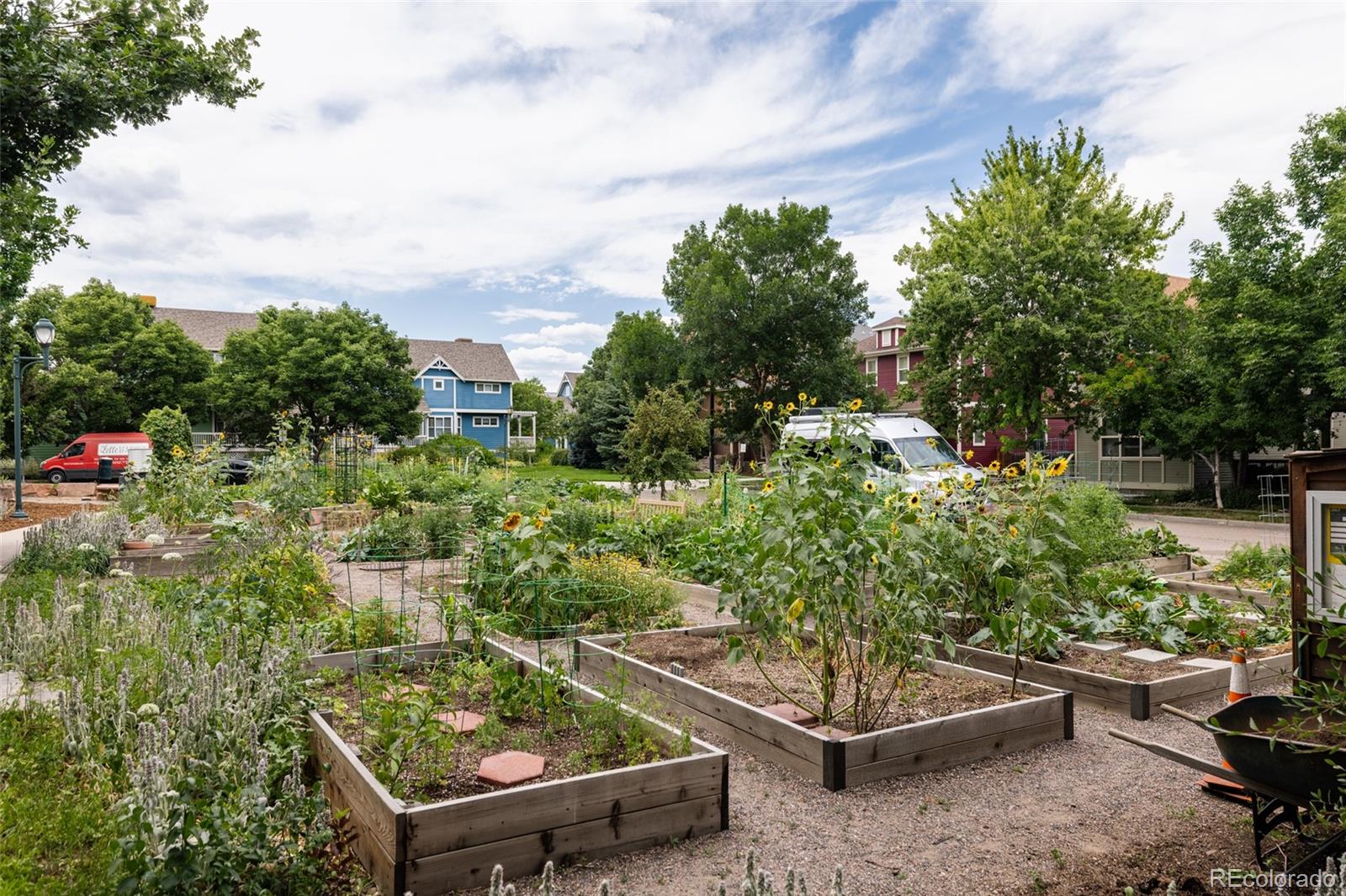 MLS Image #33 for 4523 w 36th place,denver, Colorado
