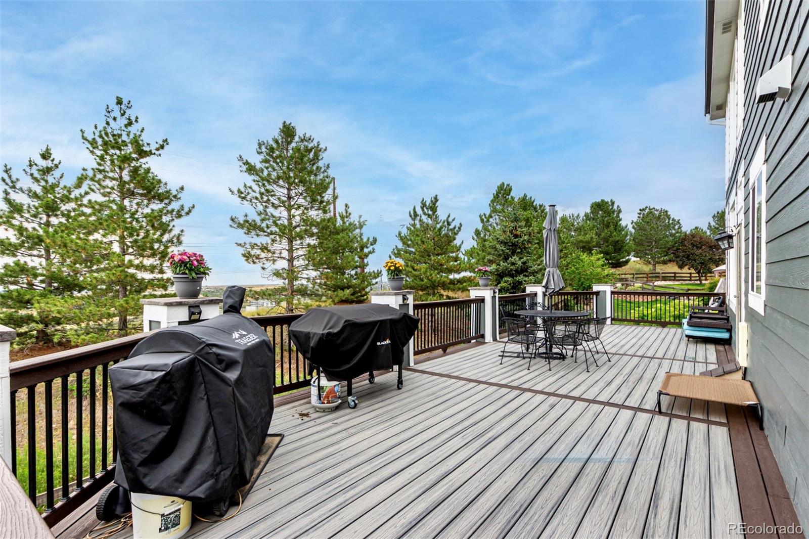 MLS Image #38 for 6983  serena drive,castle pines, Colorado