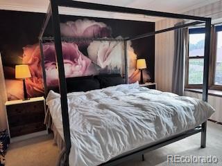 MLS Image #10 for 803 s 12th avenue,brighton, Colorado