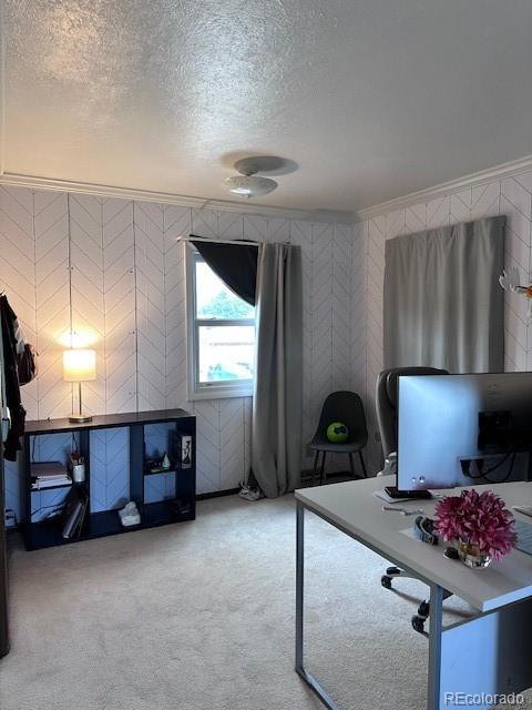 MLS Image #15 for 803 s 12th avenue,brighton, Colorado