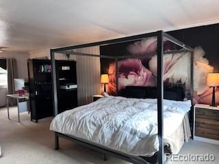 MLS Image #9 for 803 s 12th avenue,brighton, Colorado