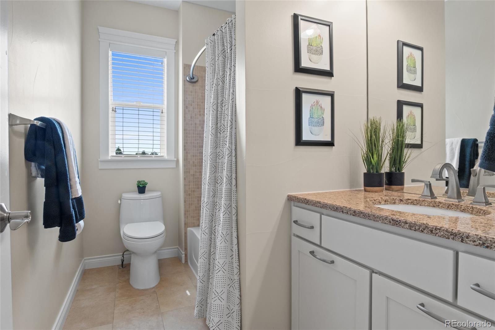 MLS Image #33 for 7001  weaver circle,castle rock, Colorado