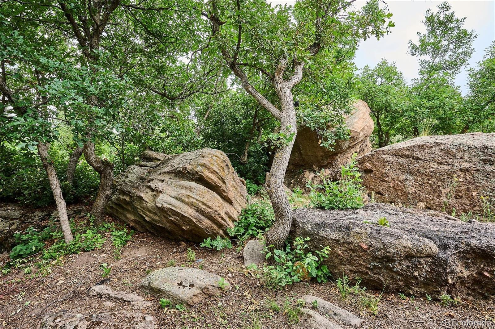 MLS Image #37 for 19  rock lane,castle rock, Colorado