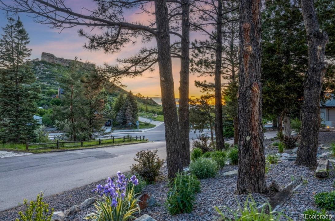 MLS Image #47 for 19  rock lane,castle rock, Colorado