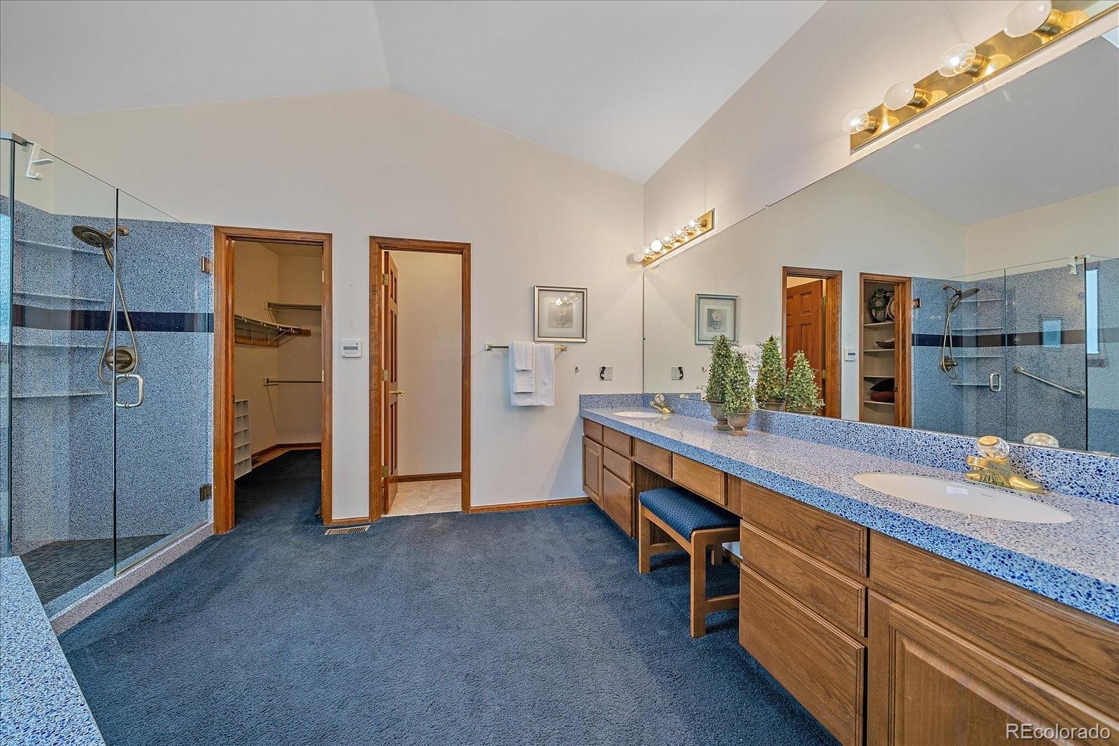 MLS Image #16 for 9875  spring hill street,highlands ranch, Colorado