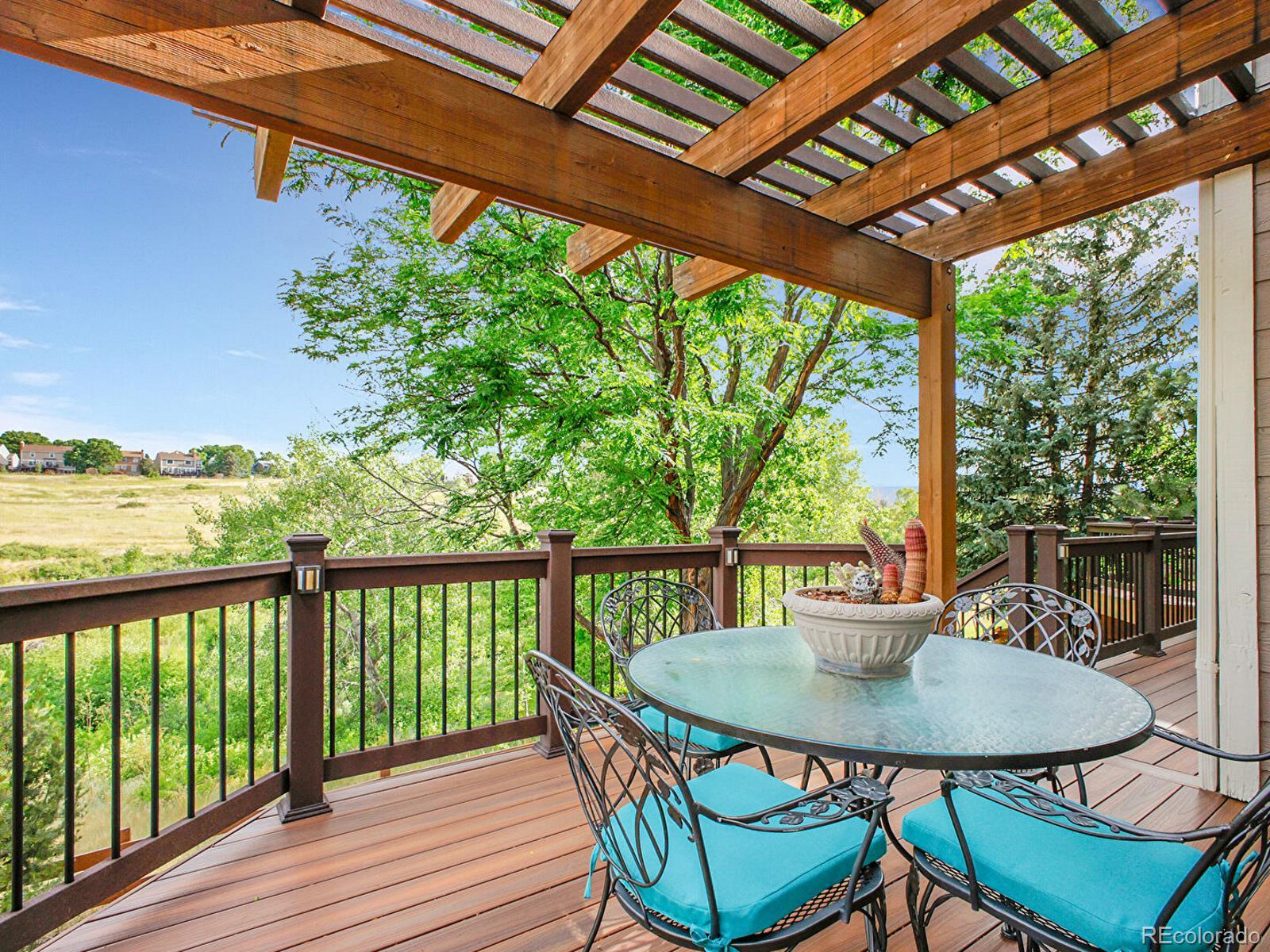 MLS Image #17 for 2074  terrace drive,highlands ranch, Colorado