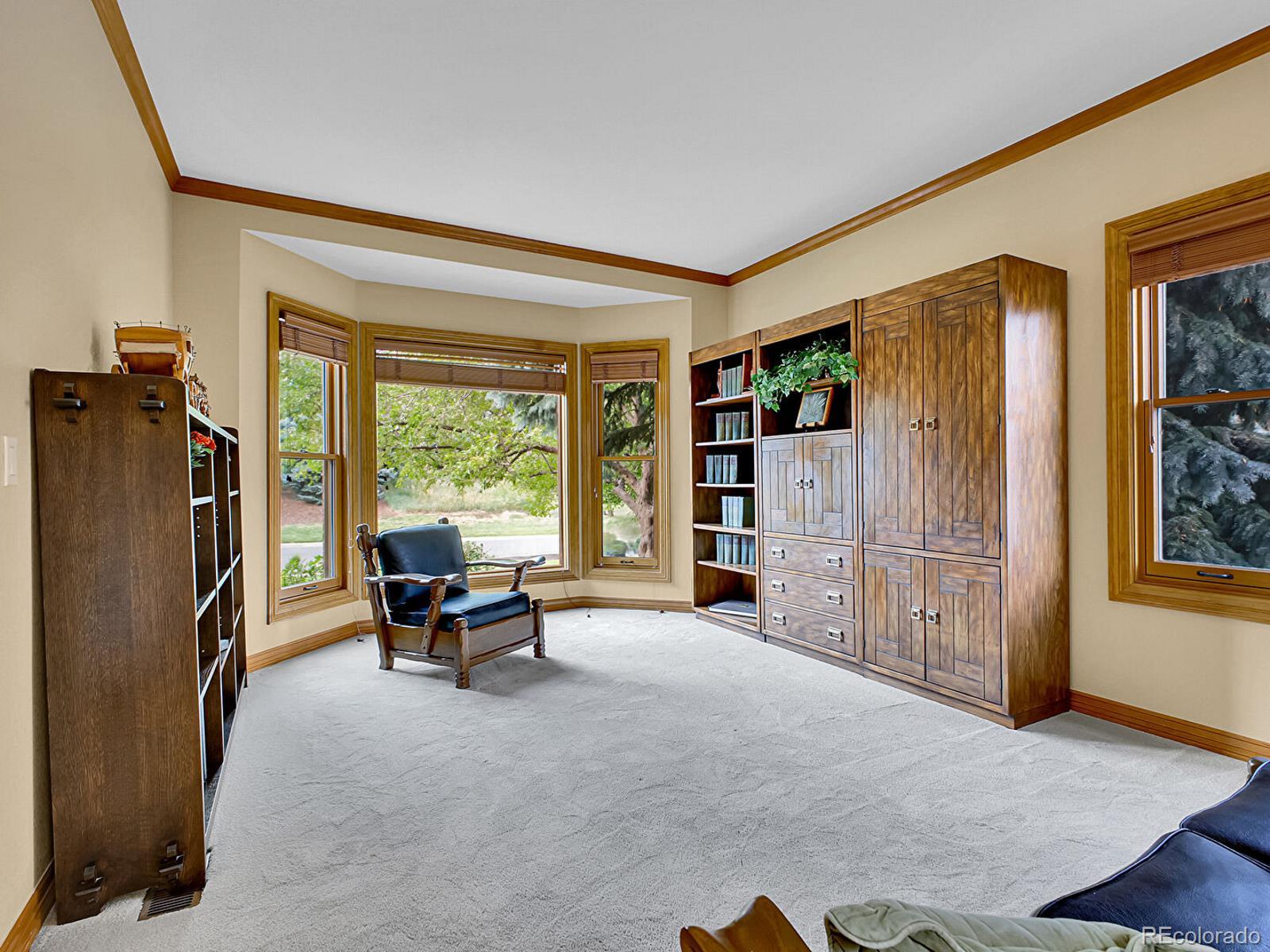 MLS Image #18 for 2074  terrace drive,highlands ranch, Colorado