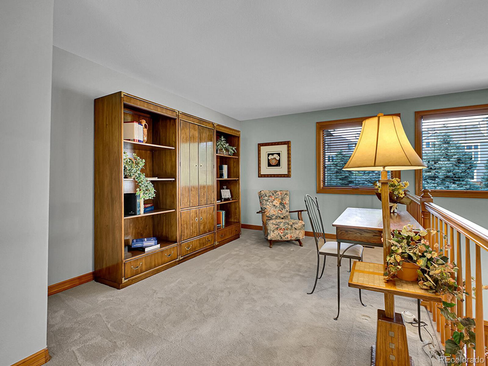 MLS Image #19 for 2074  terrace drive,highlands ranch, Colorado
