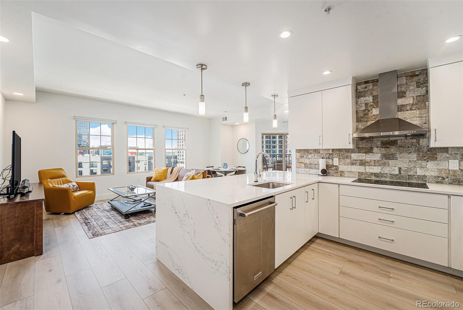 MLS Image #6 for 925 n lincoln street,denver, Colorado