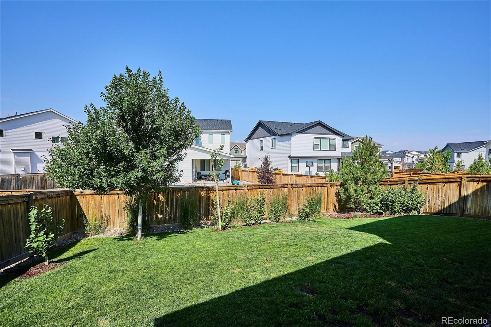 MLS Image #42 for 6271  kenzie circle,castle pines, Colorado