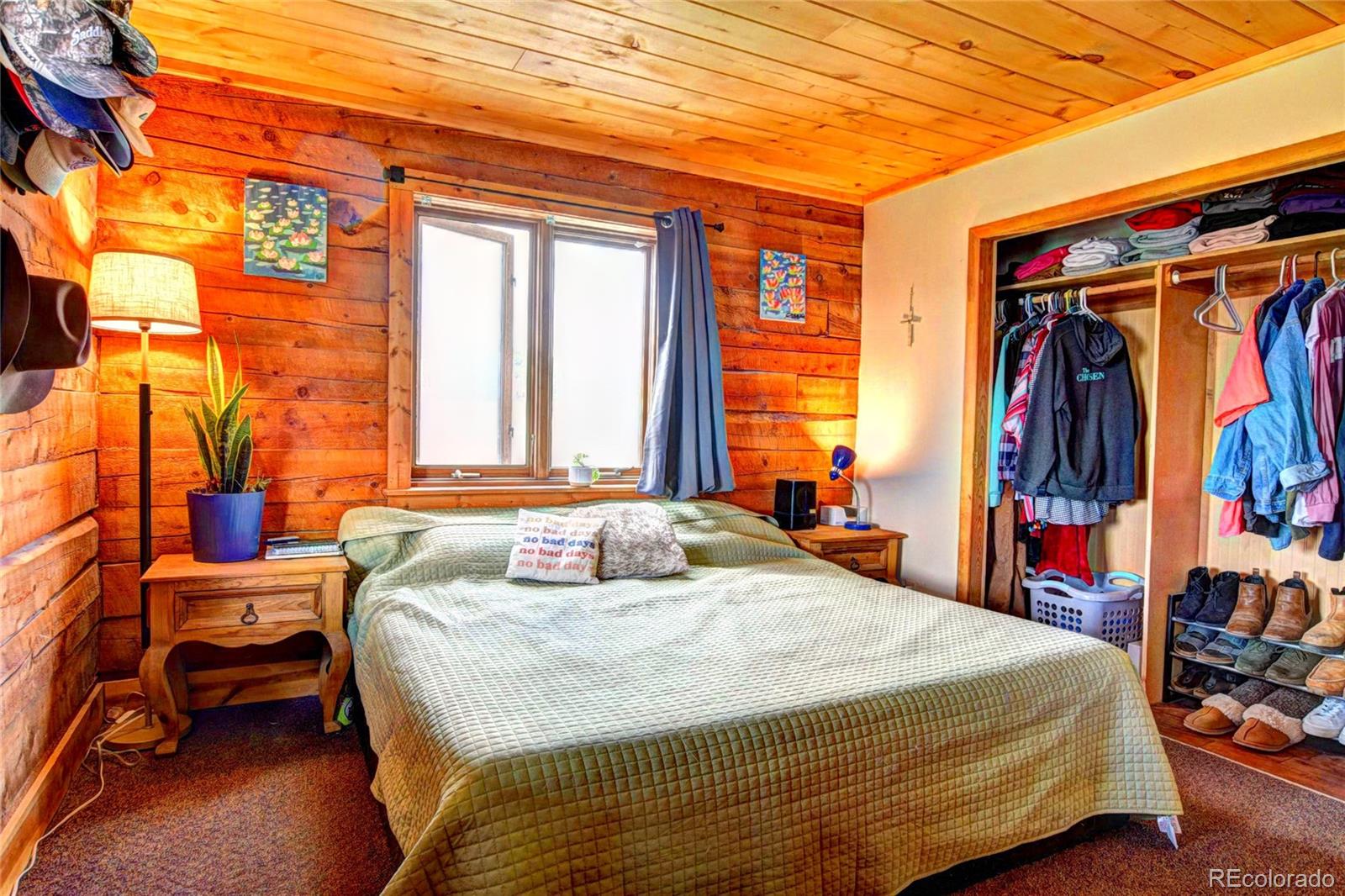 MLS Image #10 for 262  swandyke court,jefferson, Colorado