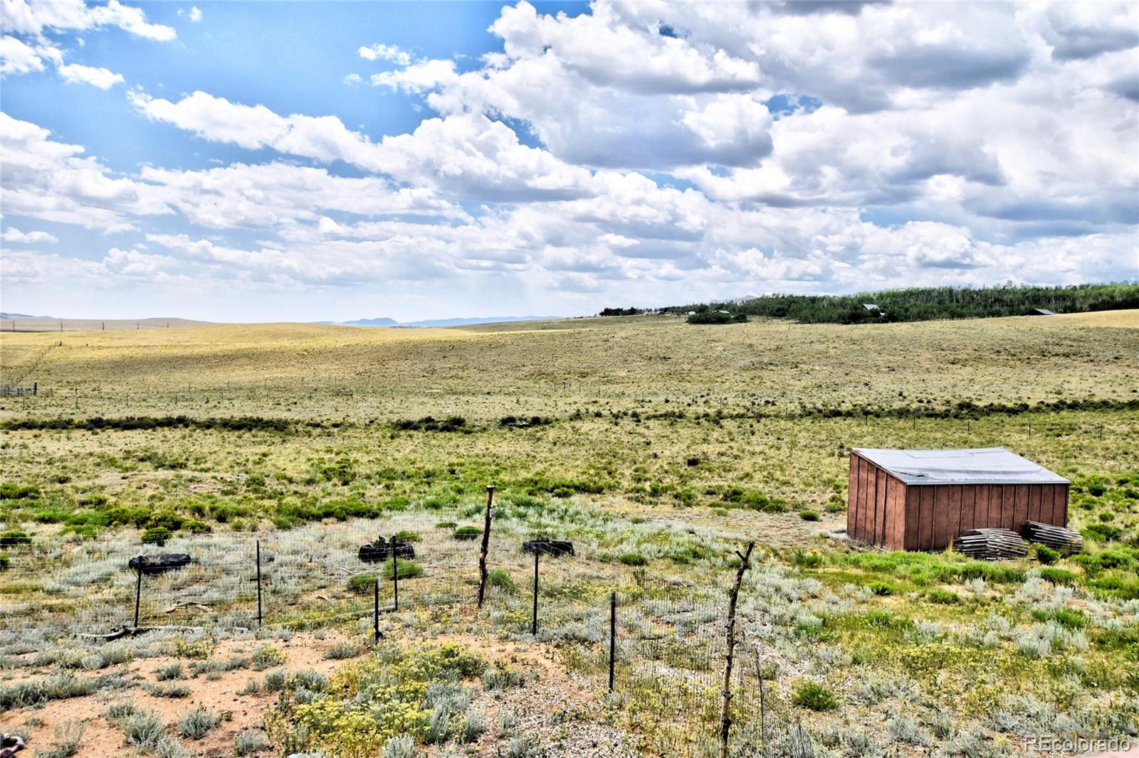 MLS Image #19 for 262  swandyke court,jefferson, Colorado