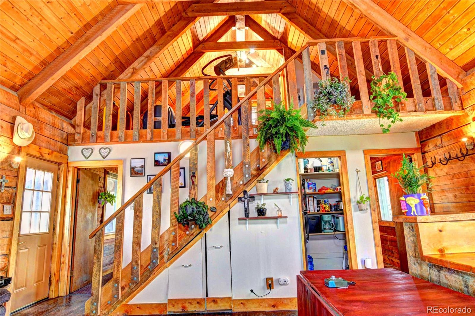 MLS Image #4 for 262  swandyke court,jefferson, Colorado