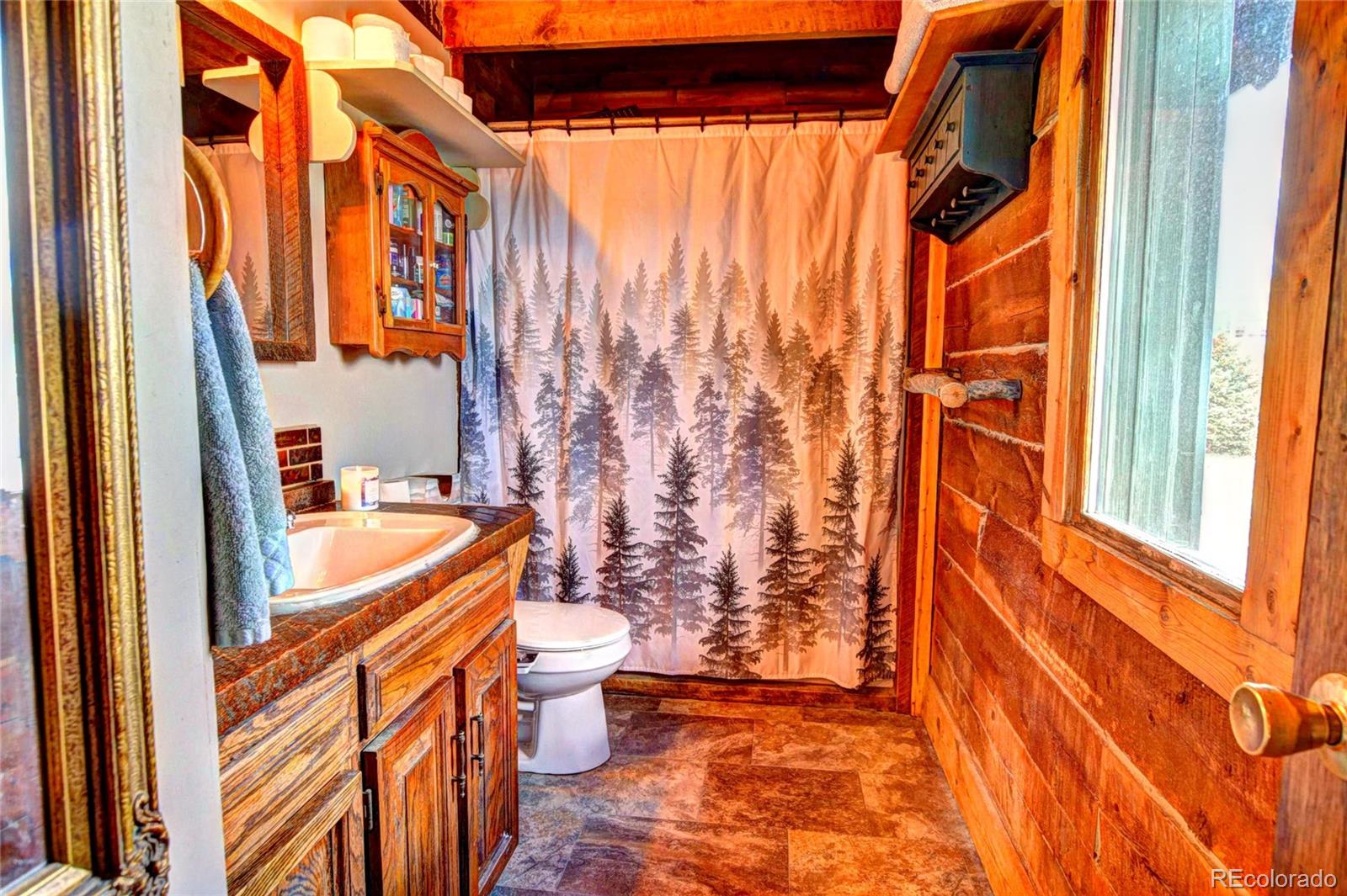 MLS Image #9 for 262  swandyke court,jefferson, Colorado