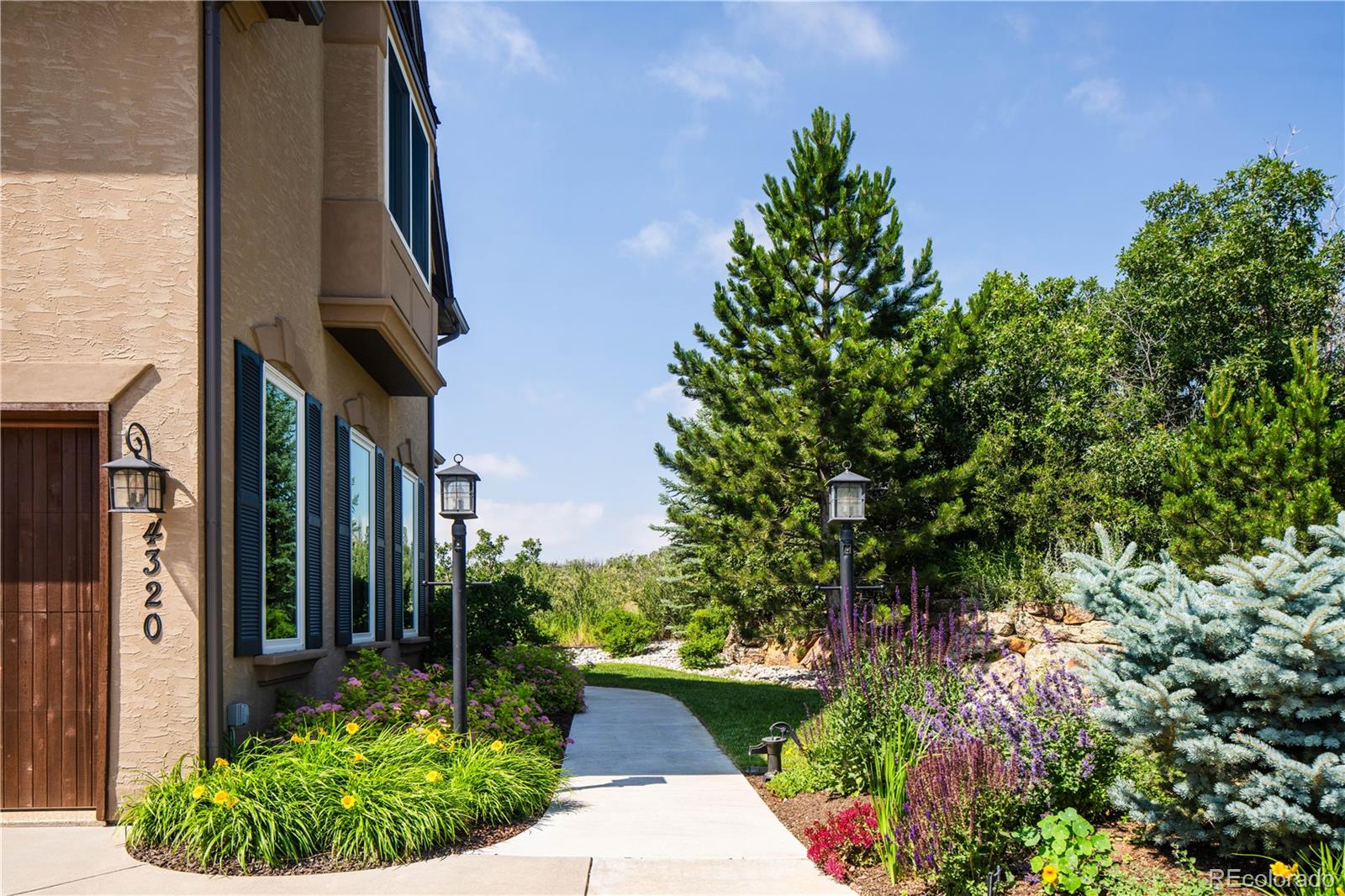 MLS Image #3 for 4320  stone post drive,castle rock, Colorado
